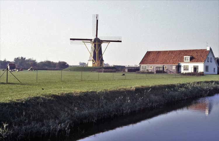 windmill